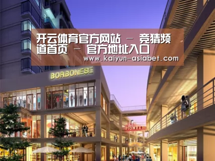 案例展示一(图1)