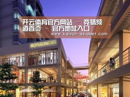 案例展示一