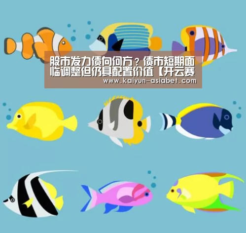 开云赛事